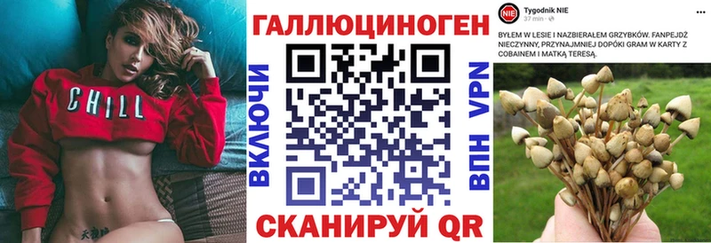 Галлюциногенные грибы Magic Shrooms  где можно купить   Кизел 
